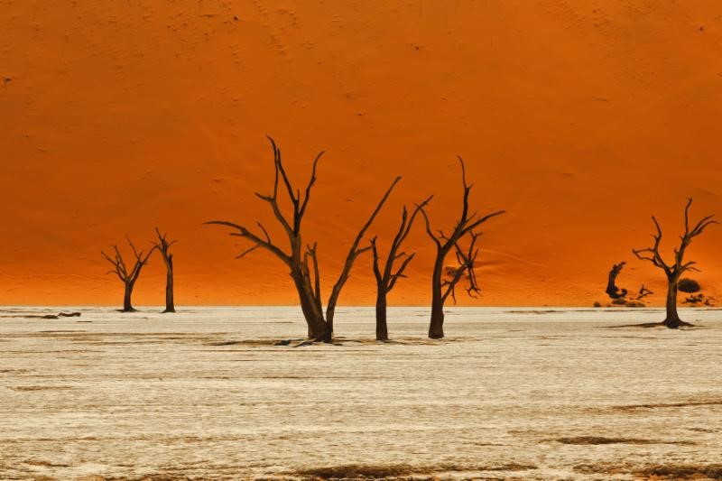 Deadvlei_Sossusvlei, Namib-Naukluft National Park, photograph by Tim Hauf 2017