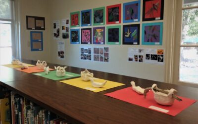 Two Learning to See Exhibits at Two County Libraries!